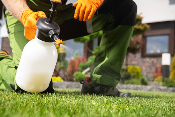 Best Mosquito Control Services  in Manor, TX
