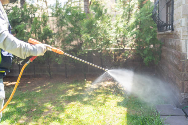 Best Best Pest Control Companies  in Manor, TX